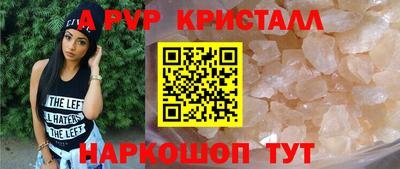 дживик Кингисепп