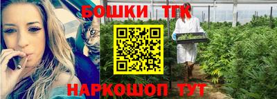 дживик Кингисепп