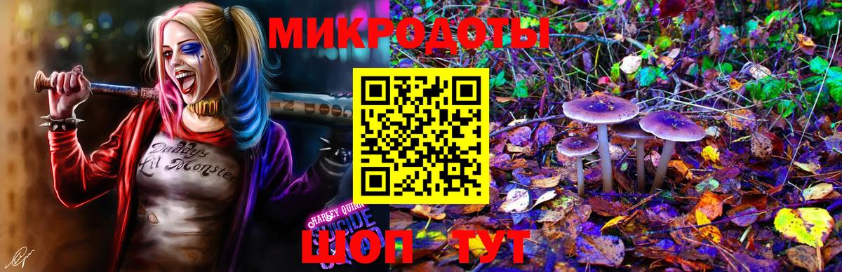 Псилоцибиновые грибы прущие грибы Краснознаменск