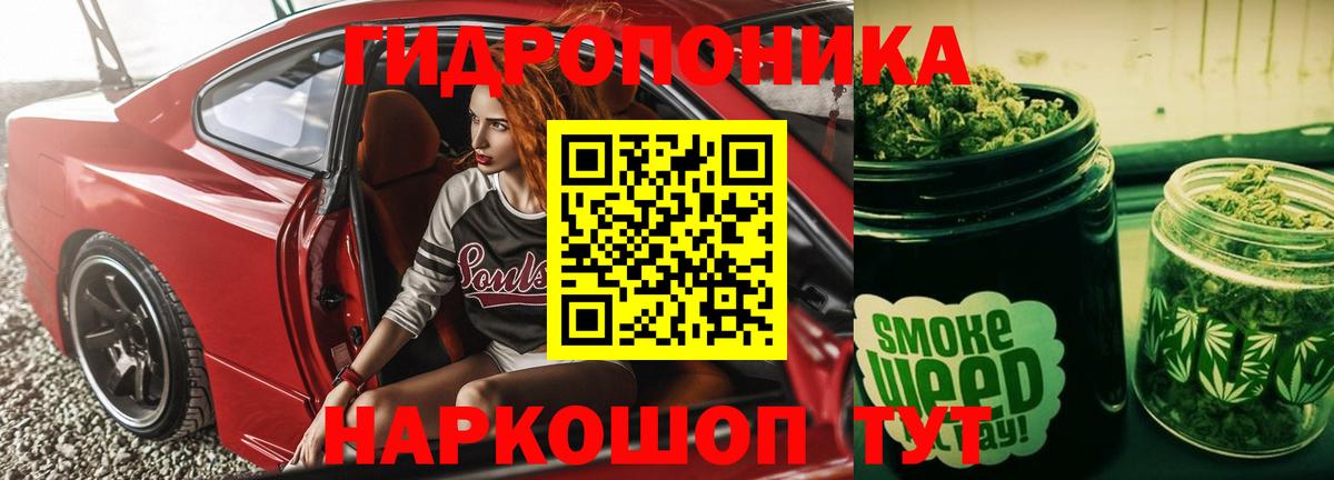 Марихуана семена  Вход с VPN  Краснознаменск  Бошки марихуана THC 21% 